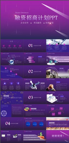 大气紫色融资招商计划PPT