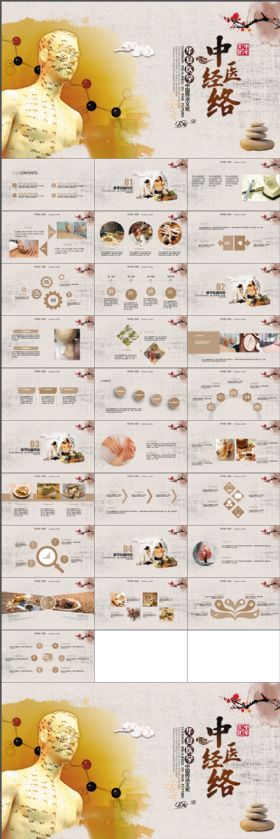 中医养生经络医学简约大气ppt动态模板