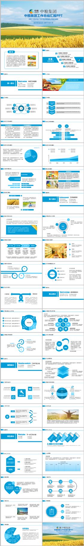 中粮集团中粮集团有限公司工作总结汇报ppt