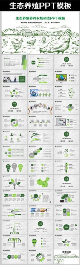 手绘绿色生态养殖鸡蛋加工养鸡PPT模板
